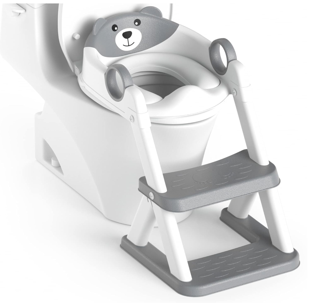2 in 1 Potty Training Toilet