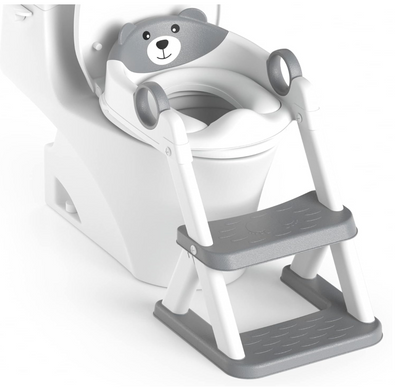 2 in 1 Potty Training Toilet