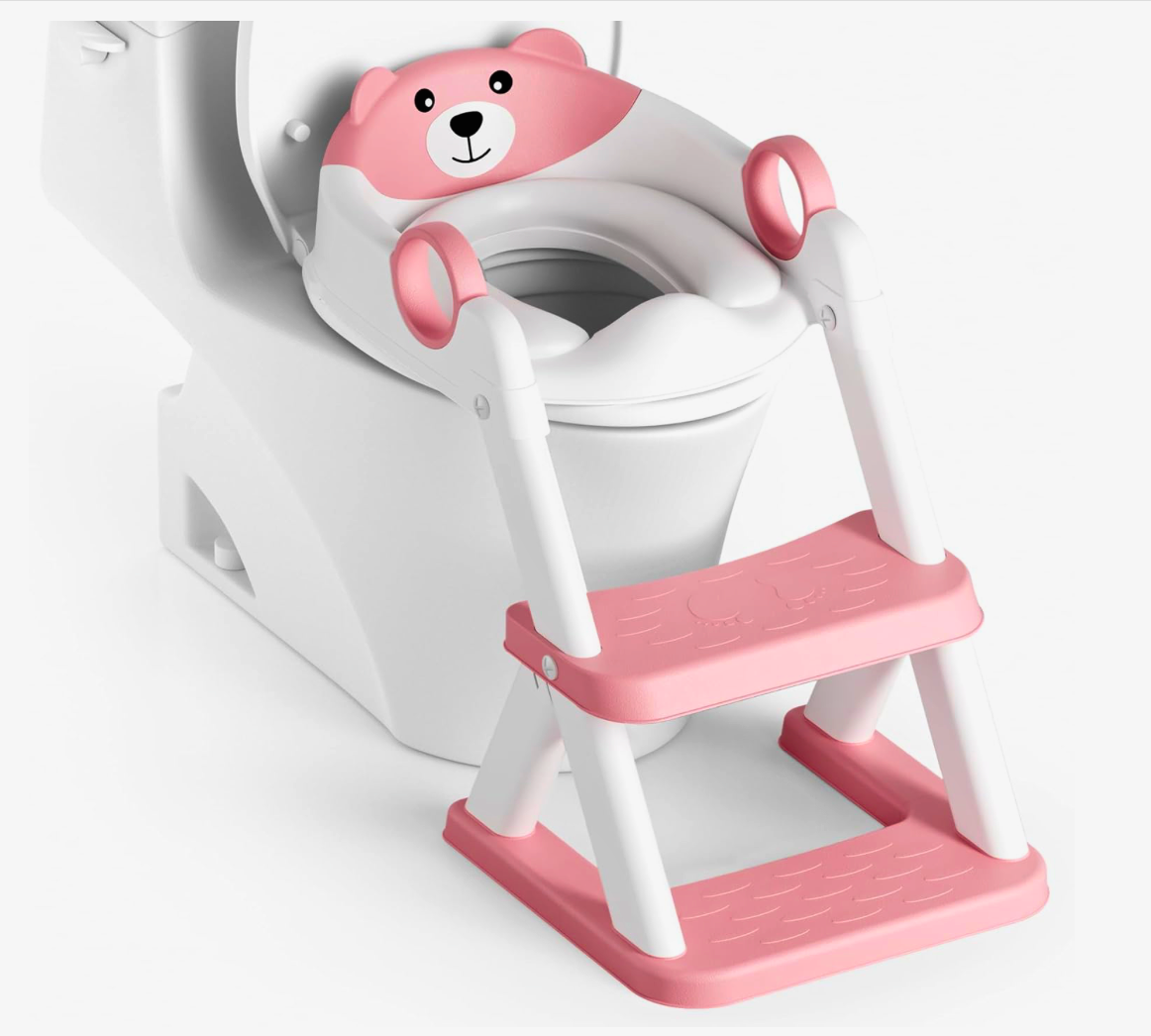 2 in 1 Potty Training Toilet