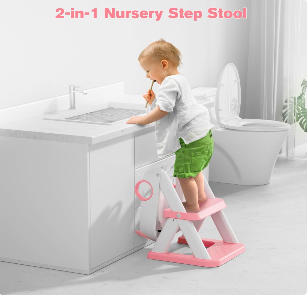 2 in 1 Potty Training Toilet
